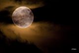085 Superluna_14_11_16.jpg